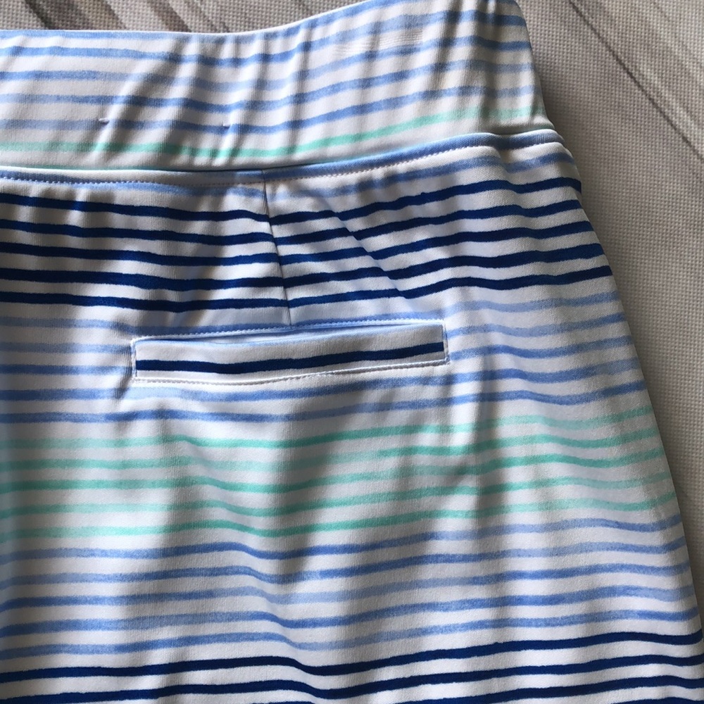 IZOD GOLF SKORT / WOMANS LARGE - Picture 6 of 10